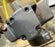 CALZONI PARKER-HANNIFIN HYDRAULIC MOTOR MR 450 N-3
