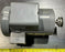 LEESON 30020-0008-0000 FRSME 56H MODEL C6K17WB1A 1725 RPM 115/208-230