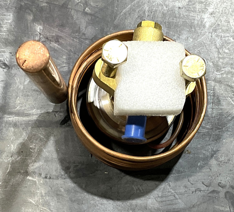 EMERSON XB-1019 RW-3B TEMPERATURE REGULATOR   15''