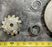 TX 51-19MD RING GEAR & PINION 07.0711.0050