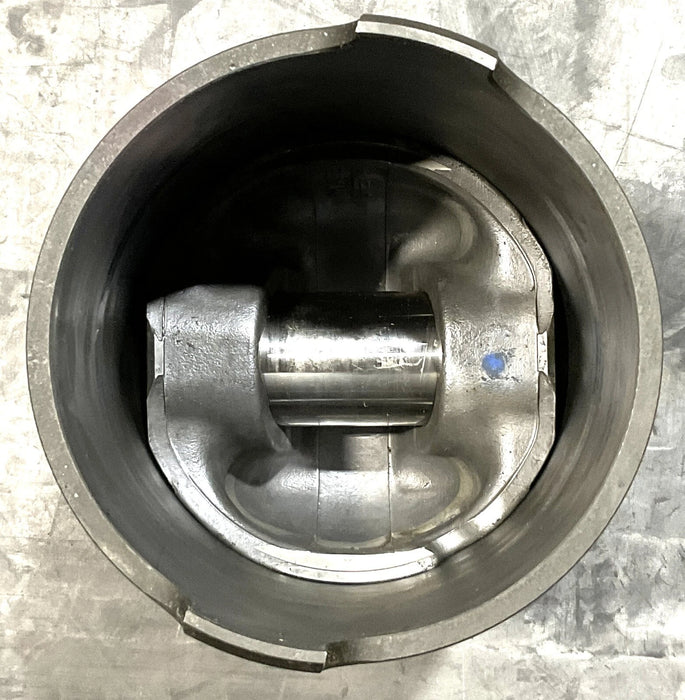 GENUINE Cummins 903 Cylinder Kit. Part No. 3803447