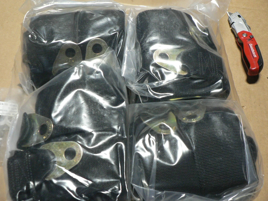 SEAT BELT EXTEND KIT, 10680929-011