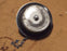 MOELLER 41740 FILLER OPENING CAP