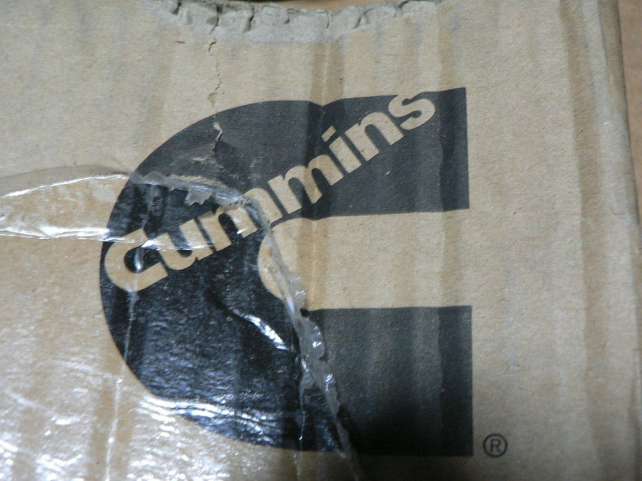 Cummins Viscous Damper 3968843