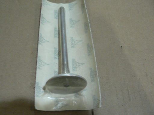 DEUTZ REED VALVE 0423 4953
