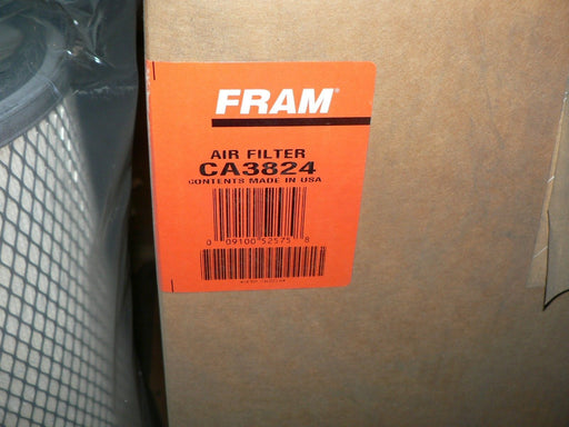 FRAM FILTER CA3824