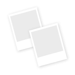 Fram P1147G Fuel Filter