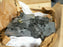 ALLISON VALVE BODY 23019596 23019799 23012463 23019799 23019595 M939 MT654CR