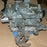 CHEVY V6 4.4L 262 ROCHESTER 17085210 17085213 17111343
